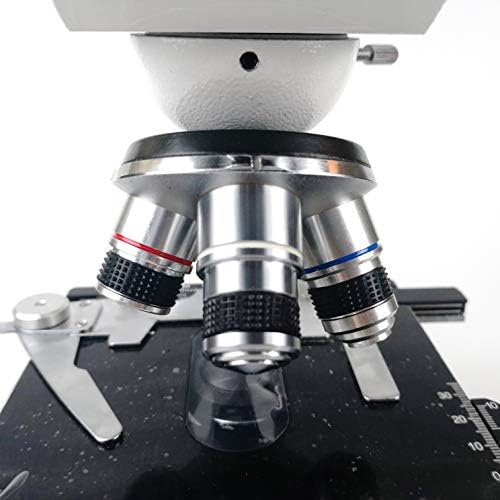 Microscópio Shisyan Binocular Microscópio Biológico Microscópio 2500x