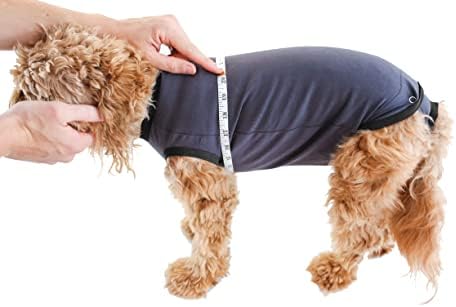 Bellyguard - Após a cirurgia, o macacão de recuperação de cães, pós -spay, neutro, traje para o corpo para cães masculinos e femininos,