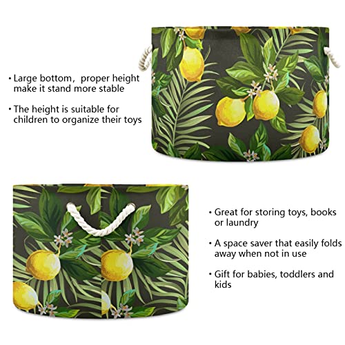 ALAZA Lemon Palm Leves Tropical Lemon Summer Storage Baskets Gifts Bestes grandes cestos de roupa dobrável com alça, 20x20x14 em