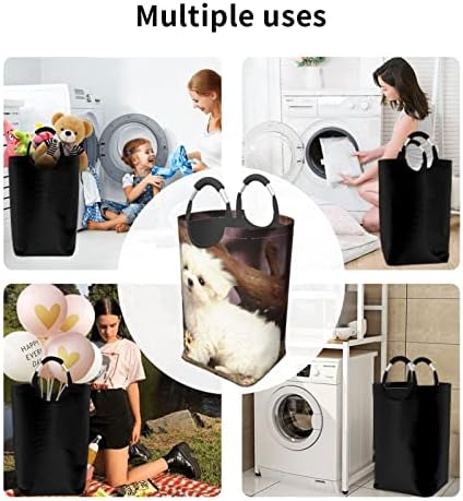 Lavanderia de cachorro fofo cesto de lavanderia dobrável cesto de roupas sujas à prova d'água, cesto de roupas sujas com