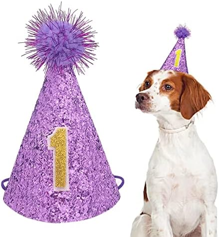 Pet Show Purple Dog 1st Birthday Party Chap
