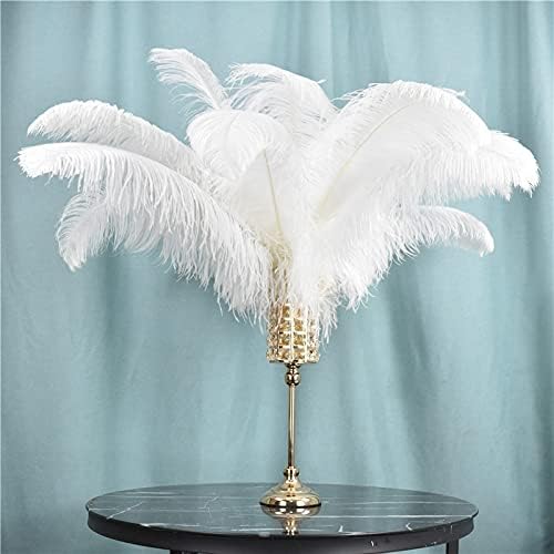 Zamihalaa 10pcs Avestruz White Feather for Crafts Wedding Decoração de penas natura