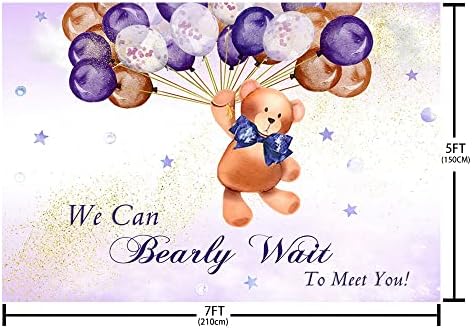 Mehofond Bear Baby Churche Cenarp para menina, podemos esperar para conhecer você decorações balões roxos brilho fotográfico bandeira