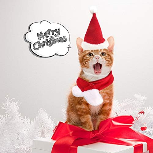 Jiali7Sec Cat Santa Chapéu com cachecol para animais de estimação Costume de Natal
