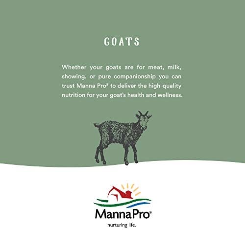 Manna Pro 1000111 441937 Lexol Leather Clean Supplies, 1 L