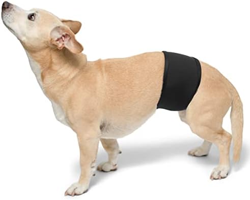 Banda de barriga de cachorro masculina de playapup, cinza, médio