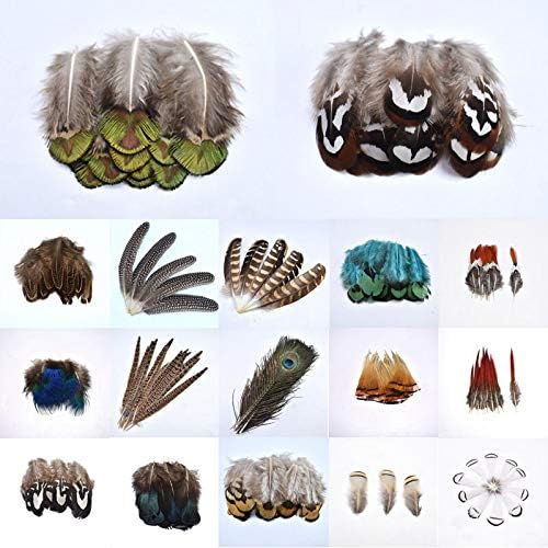 Avestruzes naturais Feathers Feathers for Crafts Diy Peacock Feathers for Jewelry Making Home Party Decoration Plumas - 10 PCs - Zamihalaa