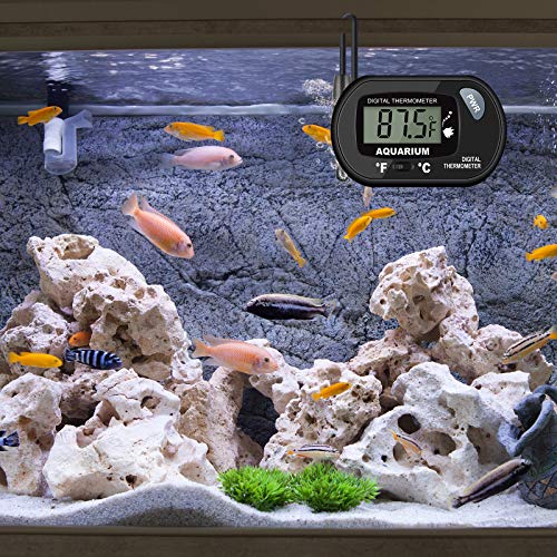 Termômetro de aquário de 2 pacote, termômetro de tanque de peixes, termômetro de água Aiktryee com cordão de 3,3 pés Fahrenheit/Celsius