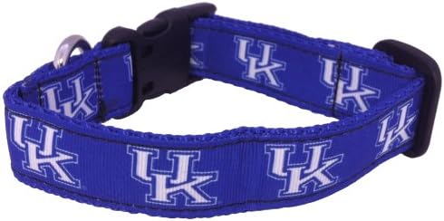 NCAA Kentucky Wildcats Dog Collar