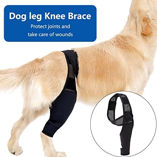 Sainspeed Pet Dog Knee Brace - cão de engrenagem de proteção ajustável para a perna traseira protege as feridas - mantém a articulação quente - para ACL, feridas, cura, impede lesões e entorses de artrite de artrite