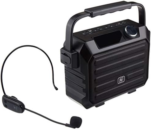 Mini Mini Bluetooth PA Sistema com fone de ouvido sem fio Microfone 30W PA PESSOAL PA OUSTRANTE O amplificador de voz recarregável suporta Echo/FM Radio/Aux-In Mode/USB Input/TF Card
