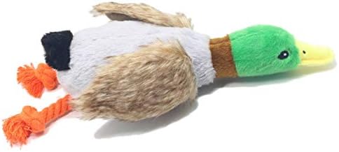 Brinquedo de pelúcia de cães NC, simulação de pato selvagem Child robusta Brinquedos rindo, brinquedos de mastigação de cachorro de pelúcia para cães pequenos, médios e grandes reduzem o tédio