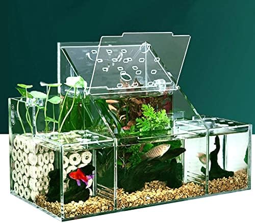 Betta Fish Tank Aquário Material acrílico Mini Desktop Small Fish Tank Goldfish Mini Aquarium Kit com bomba de água Multi Cell Self -circulação tanque ecológico Sala de isolamento de peixes doentes