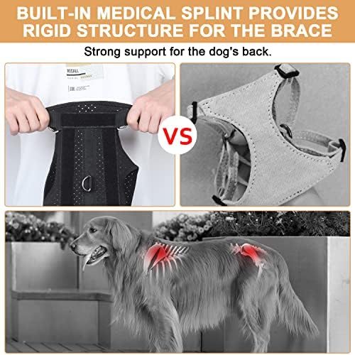 Brace traseira de cães noillow para artrite de cães, arnês de elevador de cães, apoio e estilingue de recuperação, cinta traseira IVDD, protetor de volta ajuda