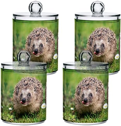 Yyzzh Funny Hedgehog Animal On Green Grass Meadow 2 Pack Pack Qtip Dispenser para algodão Swab Ball Round Pads Flet