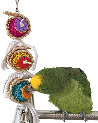 Pet Parrot Mastigando brinquedos de balanço com sinos de corda pendurados em barbas de vasta para macacos de cinza africanos de macaw