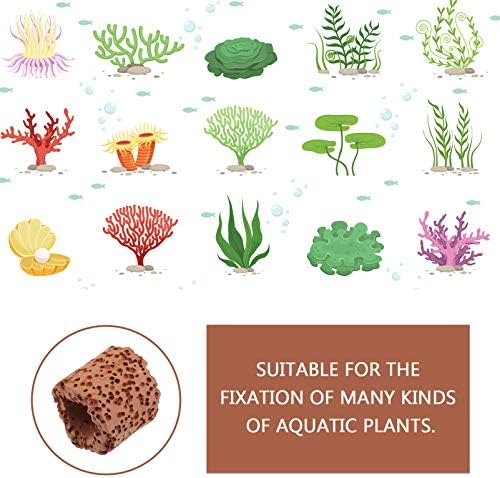 Anéis de plantas aquáticas 10pcs Anti -flutuando plantas de aquário em cerâmica - Plants Pesos Os suportes para plantas de aquário fixador