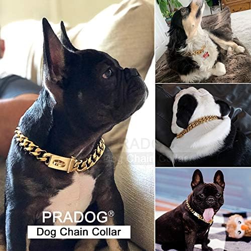 PRADOG Gold Chain Collar Colar Designer Dog Coban Chain Collar com fivela de fivela de fivela de 19mm de metal aço inoxidável colarinho