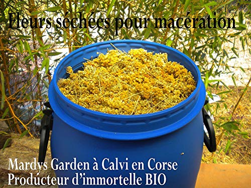 Óleo Dry Immortelle 100ml - óleo orgânico para cabelos, rosto, corpo - revive e revitaliza - fabricado na Corsica