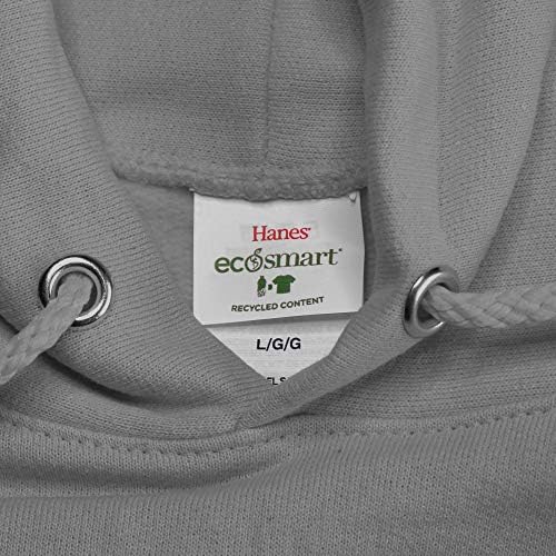 Hanes Men's EcoSmart T-Shirt