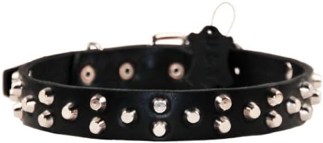 Dean e Tyler Egyptian Gem Dog Collar - Hardware de níquel - preto - tamanho 40 x 1 1/8 Largura. Se encaixa no tamanho do pescoço de 38 polegadas a 42 polegadas.