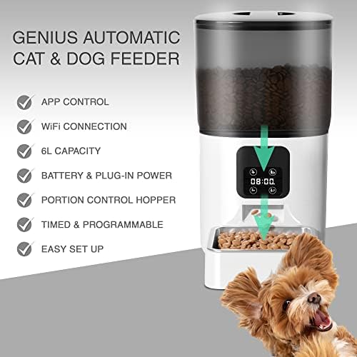 Alimentador automático de gatos e cães, dispensador de alimentos de estimação seca programável programável