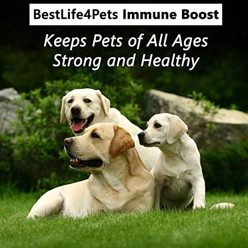 BestLife4Pets Dog Health Care - Vitaminas e suplementos naturais de cães - todos naturais, fáceis de tomar - 2 x 450 comprimidos