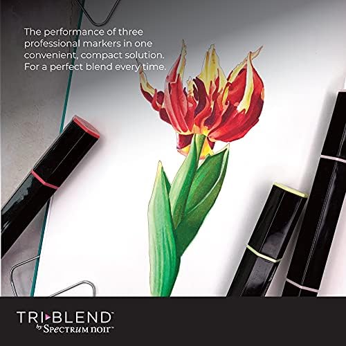 Spectrum noir TriBlend Blendable Alcower Pens-Belends-Assess-Set de 24, Multi