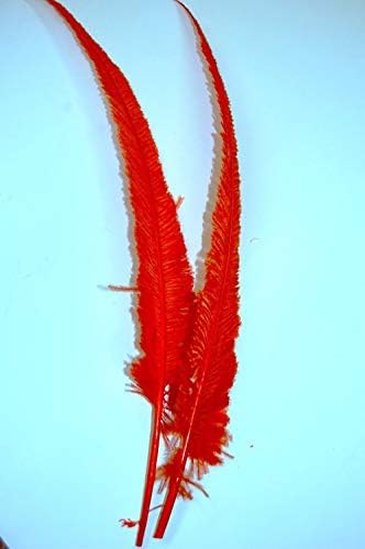 Xucus Wholesale 50pcs Red Nandu Avestrich Feathers 18-28 polegadas Disponível Plumes de Avestrich