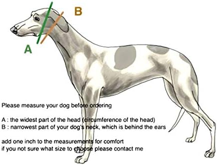 Gangue Sighthound Gangue Extra Soft Martingale Dog Collar para Greyhound Saluki Whippet e outras raças com pescoço semelhante 2 de