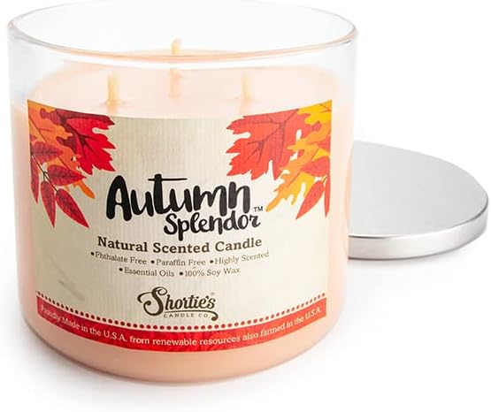 Autumn Splendor Natural 3 Candle Wick, óleos essenciais de fragrâncias, de soja, ftalato e parabenos, queima limpa, 14,5 oz.
