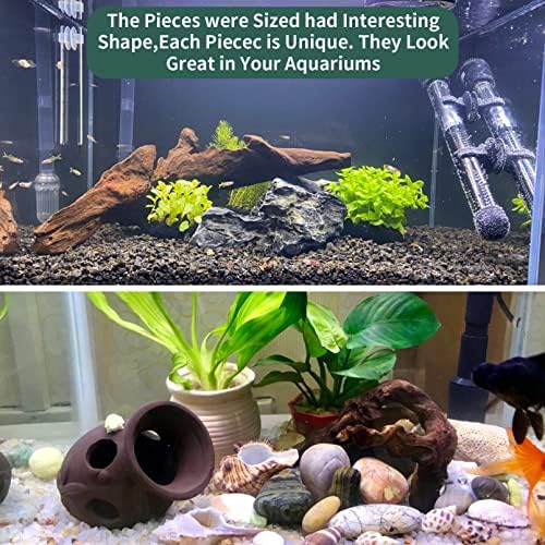 5pcs Driftwood ramifica a aquário decoração de madeira de peixe natural tanque de tanques de habitat de madeira para tamanho