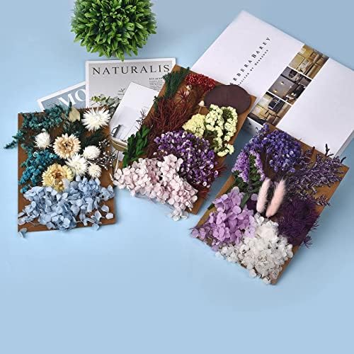 Flores prensadas secas de 5 pacote para fabricação de velas e jóias de resina Flor de jóias