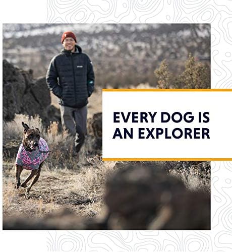 Ruffwear, Summit Trex Everyday Dog Boots com solas de borracha para caminhada, Crepúsculo cinza, 2,5 em
