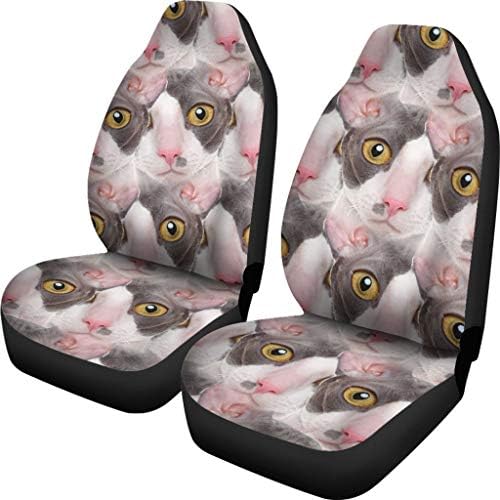 Pawlice Cornish Rex Cat Print Cats Seat Covers
