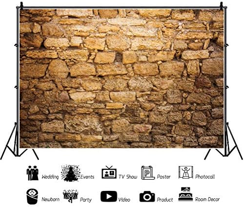 Cenário de parede ocidental de 10x8ft 10x8ft antigo cenário de Jerusalém Jerusalém Backgramento de tijolos de tijolos de pano de fundo Israel para fotografia Jerusalém cenário de parede de parede de parede de parede de parede