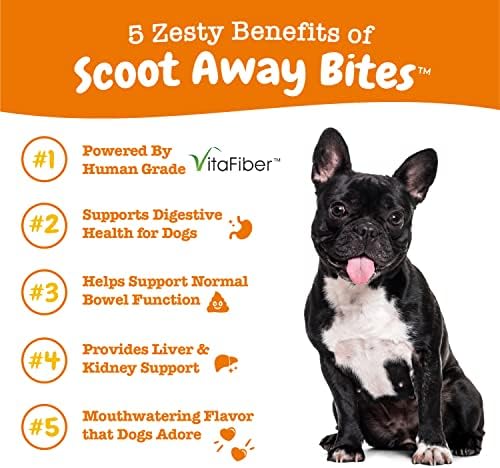 Probióticos para cães - Probióticos para flora intestinal, Health Digestive + Scaot Away Soft Chews para cães - com bromelain