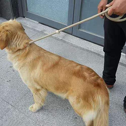 Uxzdx cão chumbo coleira de nylon cão coleira ajustável cão arnês de cachorro durável cinto leve suprimentos para cães