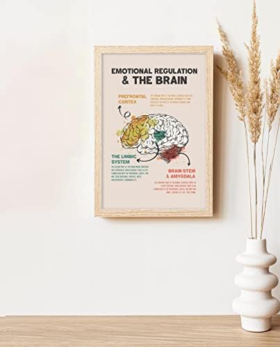 Regulação emocional e o pôster de anatomia cerebral e psicologia Boho Health Posters para a decoração de escritório de terapia cerebral