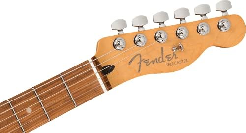 Guitarra elétrica de corpo sólido Fender 6 String, à direita, fumaça de prata