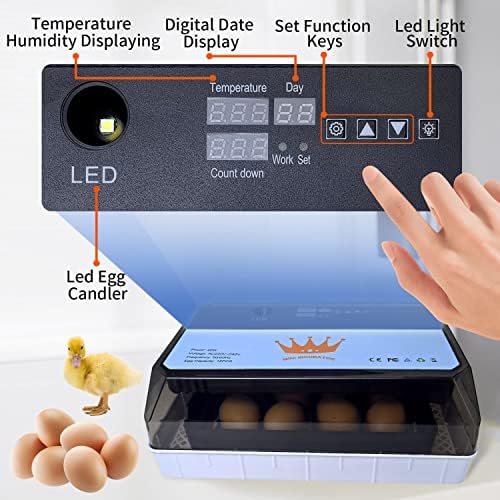 Incubadora automática de ovos QMCAHCE, incubadores de ovos digitais para eclodir ovos com torneiro totalmente automático, um testador de Candler de ovo liderado por controle de umidade, para chocar ovos de pássaros de codorna de frango