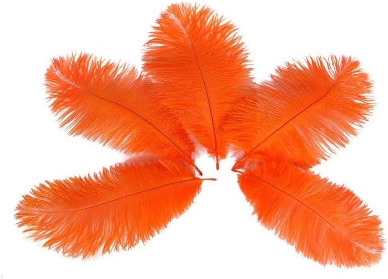Pnnerr Feathers for Crafts 15-70cm Fantas de carnaval Decorações de casamento em casa Plumas naturais plumas