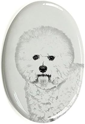 Bichon, lápide oval de azulejo de cerâmica com uma imagem de um cachorro