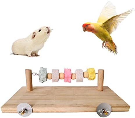 Springboard de plataforma de poleiro de madeira de estimação com brinquedos molares de pedra mineral para chinchilla ienea rat parrot pássaro