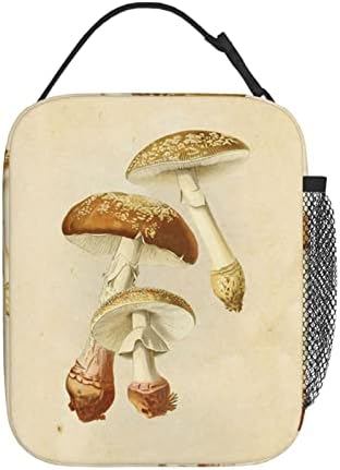 Cogumelos comestivos vintage impressão oxford pano lancheira portátil de pano portátil transportar comida no almoço de escritórios