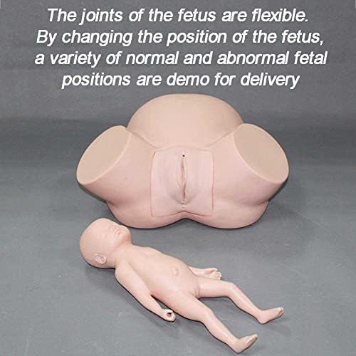 Simulador de Treinamento de Obstetrícia do NIHE Modelo de demonstração feminino com tamanho padrão do Baby CheaBirth para