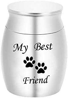 RFWS Double Heart Heart Paw Impresso Memorial Urns Pet Dog Cat Casket Cremação Urna Metal Jóias Tampa de parafuso Silver_30x40mm