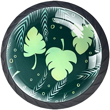 Plantas tropicais gabinete de vidro botões