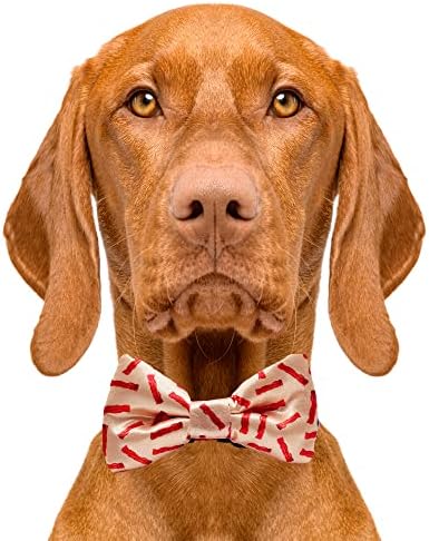 Cuties amarra o cachorro gravata borboleta bacon - 2 x 4 de qualidade premium laços para cães - gravata sofisticada de cães com escorregões sobre elásticos - tirha de cachorro fofo encaixa na maioria dos colarinhos - gravata para cães para pequenas, médias e grandes raças