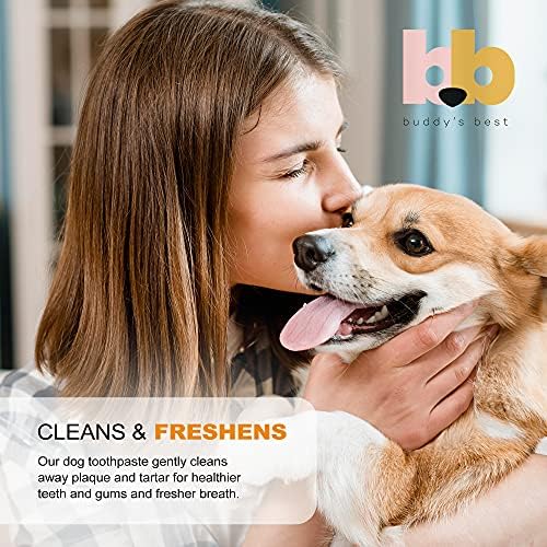 Melhor cuidados dentários para cães de Buddy, creme dental para cães, gel de cuidados orais para limpeza de dentes e respiração fresca,
